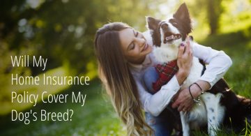 blog image of a woman and her dog